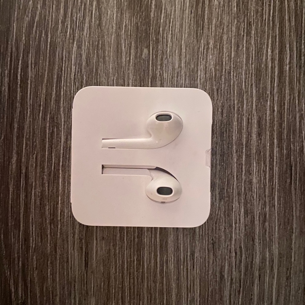 Apple earphones